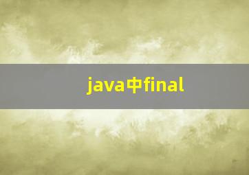 java中final