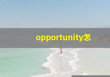 opportunity怎