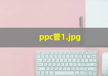 ppc管