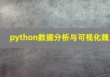 python数据分析与可视化魏