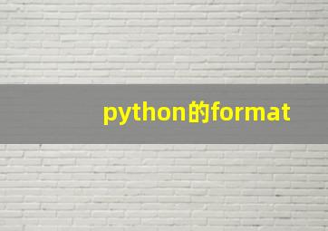 python的format