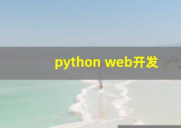 python web开发