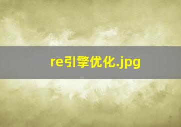 re引擎优化