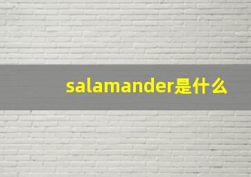 salamander是什么