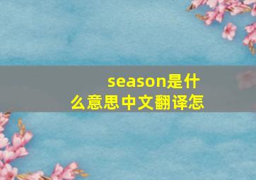 season是什么意思中文翻译怎
