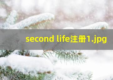 second life注册