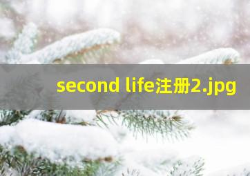second life注册