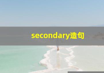 secondary造句+