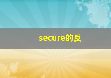 secure的反