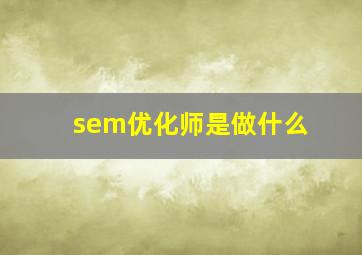 sem优化师是做什么