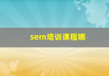 sem培训课程哪