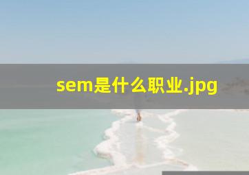 sem是什么职业