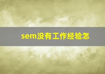 sem没有工作经验怎