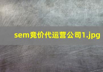 sem竞价代运营公司