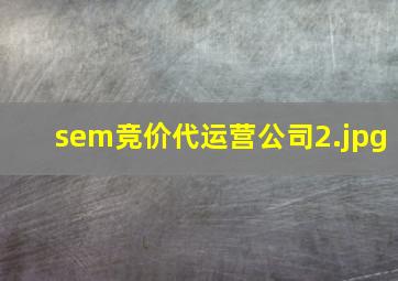 sem竞价代运营公司