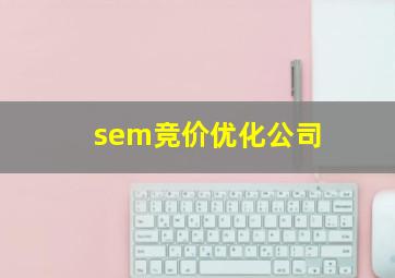 sem竞价优化公司