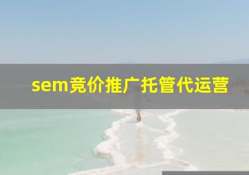 sem竞价推广托管代运营