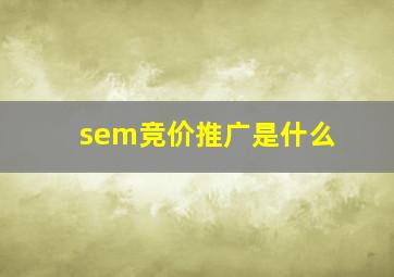 sem竞价推广是什么