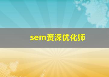 sem资深优化师