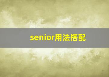 senior用法搭配