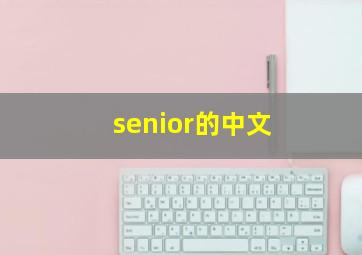 senior的中文
