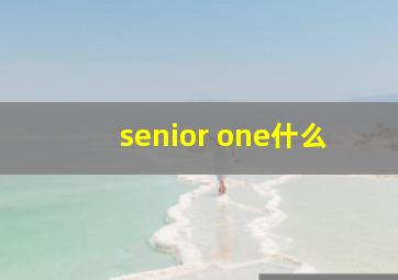 senior one什么
