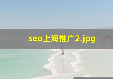 seo上海推广