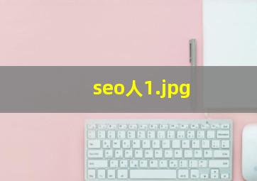 seo人