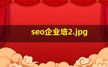 seo企业培