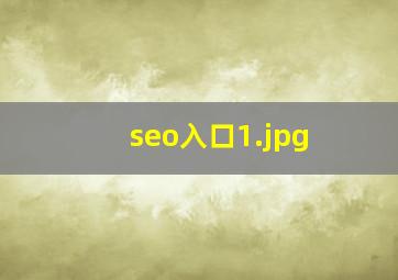 seo入口