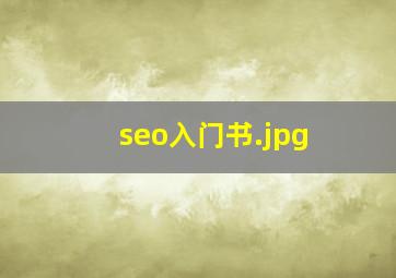 seo入门书