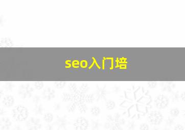 seo入门培