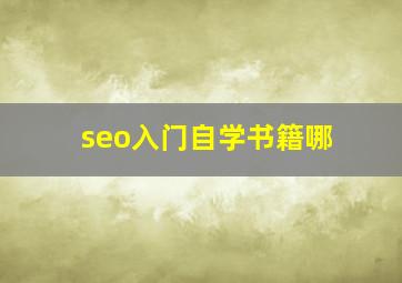 seo入门自学书籍哪