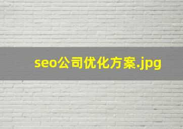 seo公司优化方案