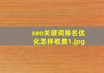 seo关键词排名优化怎样收费