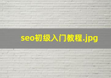 seo初级入门教程