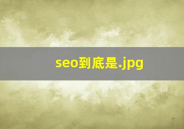 seo到底是