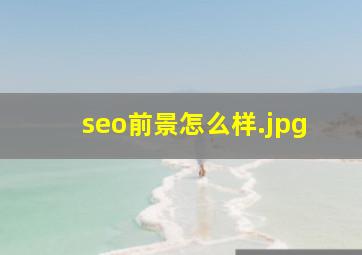 seo前景怎么样