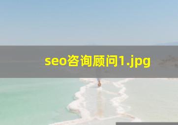 seo咨询顾问