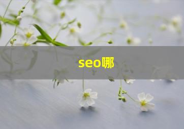 seo哪