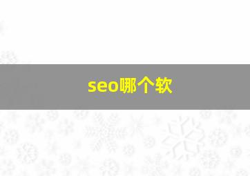 seo哪个软