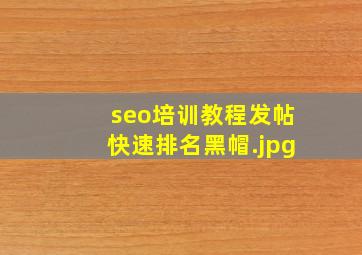seo培训教程发帖快速排名黑帽