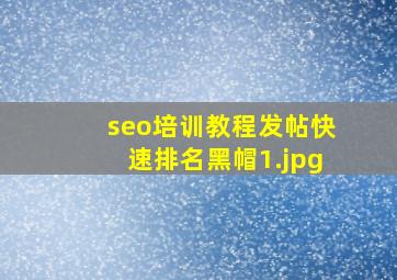 seo培训教程发帖快速排名黑帽