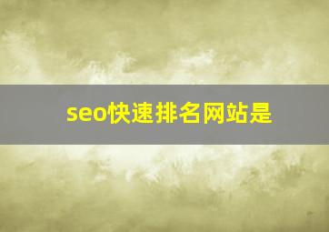 seo快速排名网站是