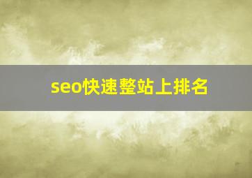 seo快速整站上排名