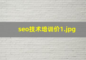 seo技术培训价