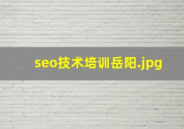 seo技术培训岳阳