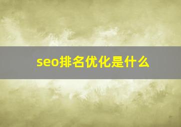 seo排名优化是什么