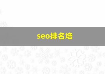 seo排名培