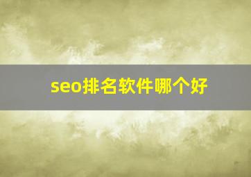 seo排名软件哪个好
